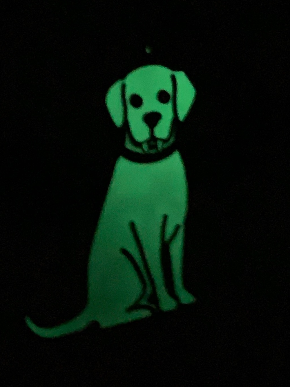 Victorias Secret Vampire Bat Dog Metal Glow in the Dark Keychain Charm NEW